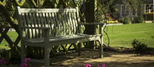 A garden bench in our landscaped gardens at Godswell Park Care Home, near Banbury in Oxfordshire