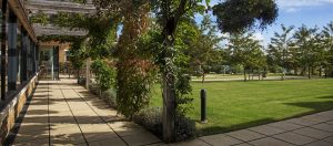 One of teh terraces at Godswell Park Hare Home in Bloxham
