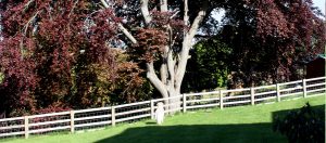 Godswell Park has some lovely views of the Surrounding countryside